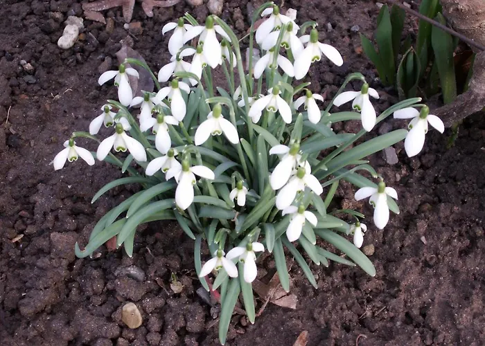 Haus Am Fuerstenweg Neustadt an der Weinstraße