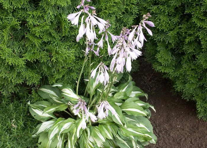 Haus Am Fuerstenweg *