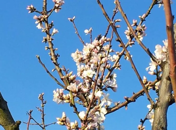 Apartamento Haus Am Fuerstenweg *